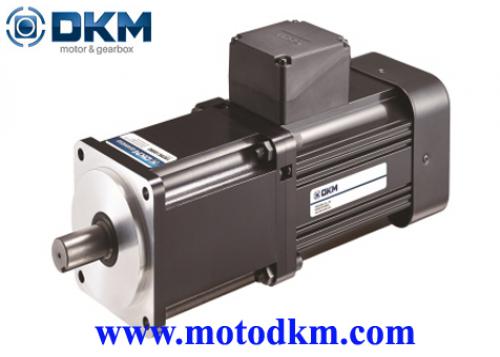 INDUCTION MOTOR DKM 10IDGD-300FU-T-10UBK10BH