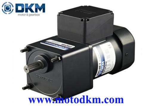 induction-motor-DKM 9IDGE-120FP-T-9PBK10BH