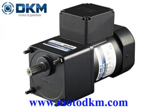 Reversible Motor dkm 9RDGE-60FP-T-9PBK10BH