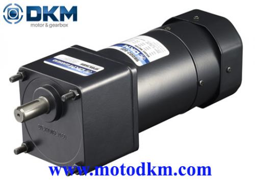 Brake motor DKM 9BDGE-90FP-9PBK10BH