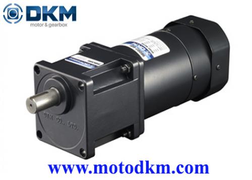 Brake motor DKM 9BDGG-150FH-9HBK10BH