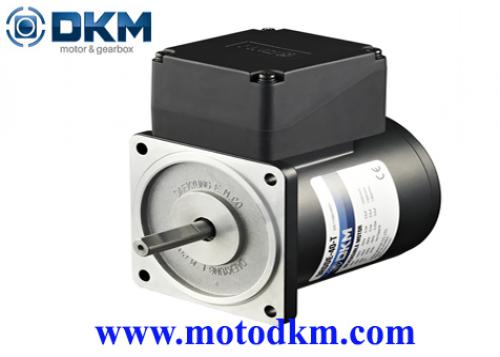 Motor dkm 2 Pole 8IDDE-15-AT