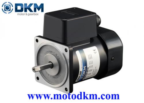 Motor dkm 2 Pole 9IDDE-60F-AT