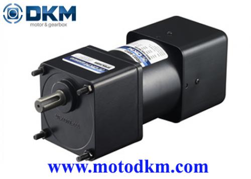 Torque Motor dkm 9TDGE-20F2G-9GBK10BMH