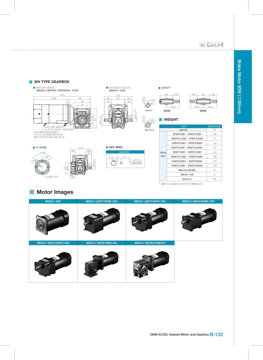 Brake motor 9BDGE-60FWH-9WHD30-030
