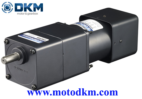 Clutch & Brake Motor DKM 9CIDGE-60F2P-9PBK9BH