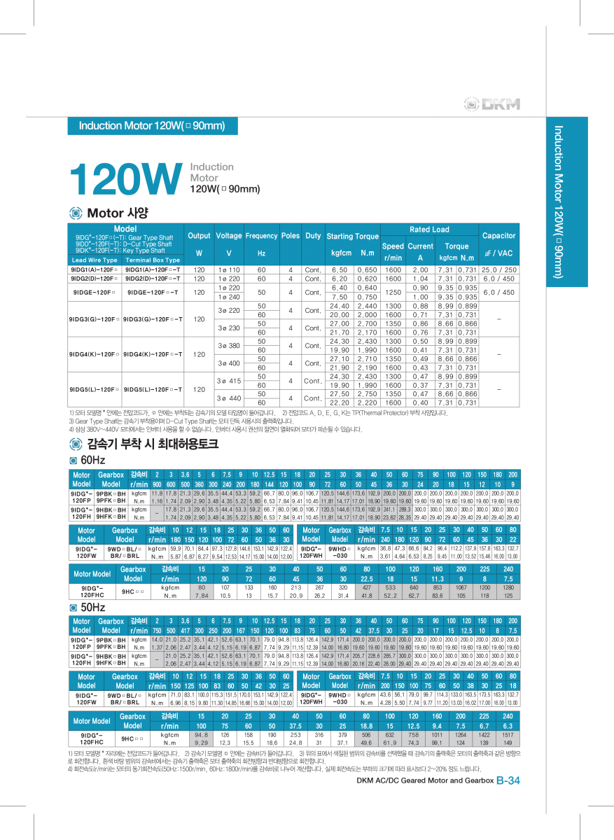 induction-motor-DKM 9IDGE-120FP-T-9PBK10BH