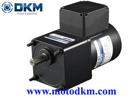 Reversible Motor dkm-7RDG2-6G-T-7GBK30BMH