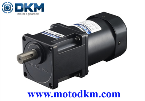 induction-motor-DKM 9IDGG-150FH-T